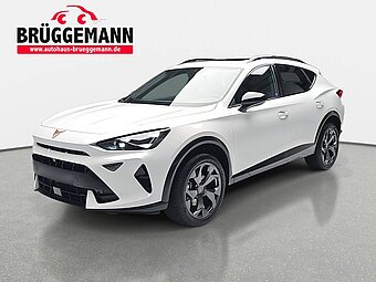CUPRA FORMENTOR 1.5 ETSI DSG NAVI LED PANO EL.HECKKLAPPE KAMERA AH