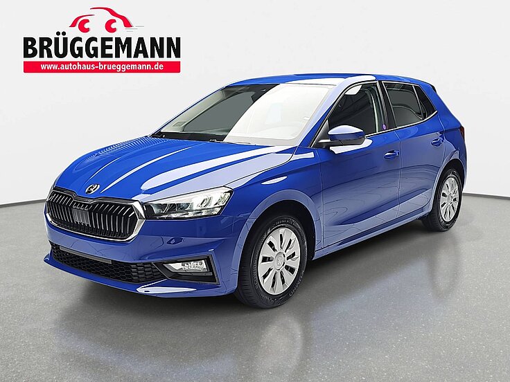 SKODA FABIA 1.0 MPI LED KLIMA SPURHALTE DAB PDC GARANTIE