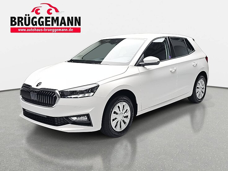 SKODA FABIA 1.0 TSI SELECTION LED KLIMAAUTO SMARTLINK WINTER P