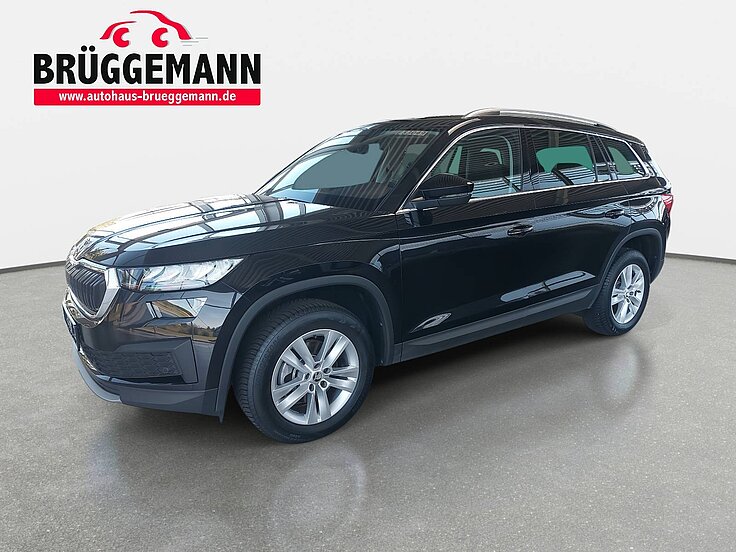 SKODA KODIAQ 2.0 TDI DSG AMBITION NAVI KLIMA LED DAB LM 17